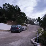 Cypresses