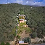 Cypresses Villa Ano Gatzea