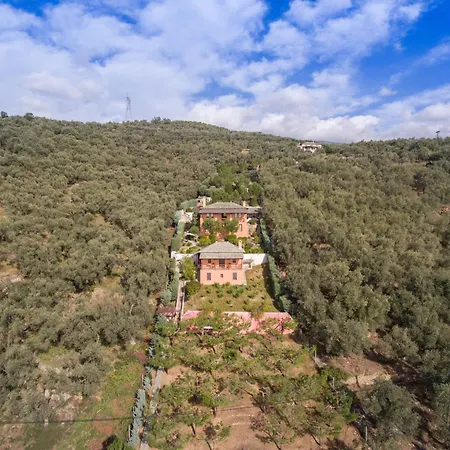 2 Cypresses With Private Pools * Ano Gatzea