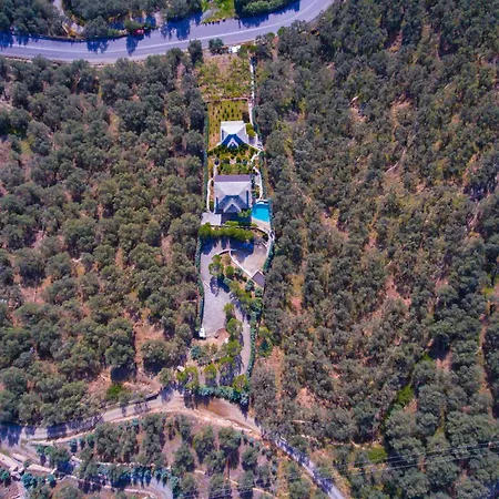 2 Cypresses With Private Pools