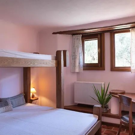 Cypresses Ano Gatzea