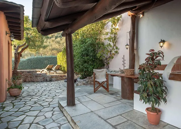 Cypresses Ano Gatzea