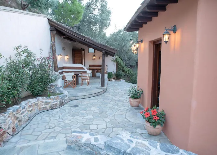 Cypresses Ano Gatzea